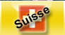 pose de puce suisse